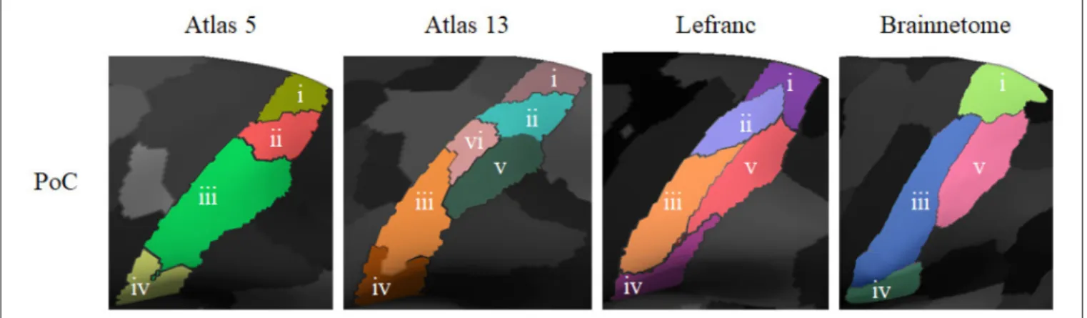 FIGURE 10 | Comparison of the sub-parcels obtained by the different atlases based on dMRI for the post-central (PoC) anatomical parcel
