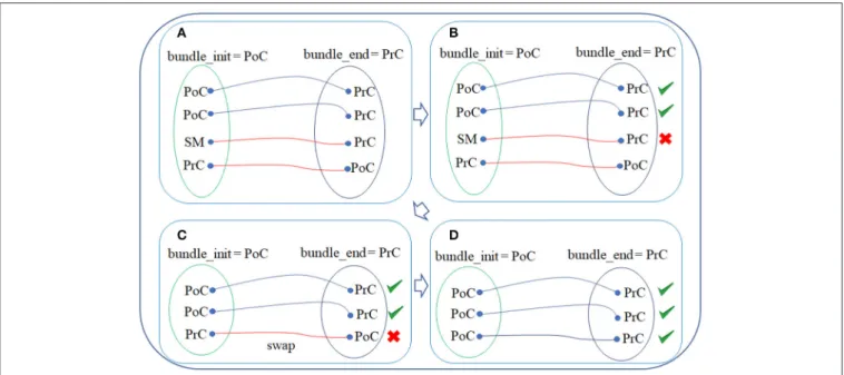 FIGURE 2 | WM fiber filtering for a bundle. (A) Sub-step 1: obtaining the fiber labels