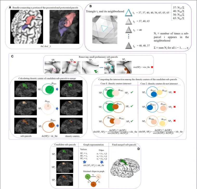 FIGURE 3 | Schematics of cortex parcellation (STEP 5) sub-steps. (A) Sub-step 5.1: creating preliminary sub-parcels