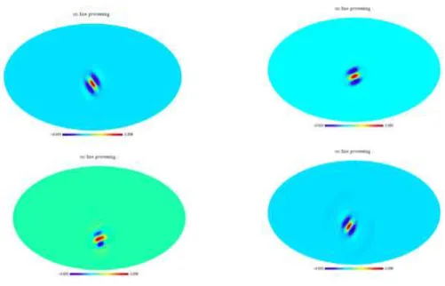 Figure 1: Curvelets on the Sphere - The above figures show the backprojection of various curvelet coefficients at different scales and orientations on the sphere