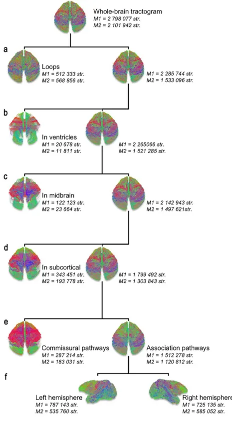 Fig. 2: Summary of the multiple steps for cleaning the whole-brain tractogram. 