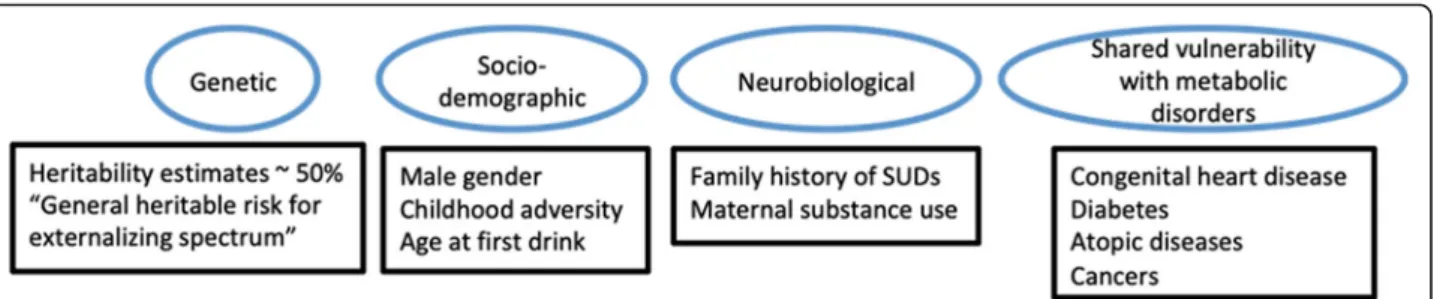 Fig. 1 Complex, multi-factorial underpinnings of externalizing disorders [60 – 66, 79 – 81]