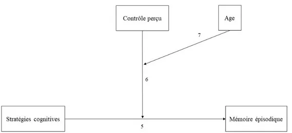 Figure 3. Représentation schématique du rôle modérateur du contrôle perçu dans la  relation entre les stratégies cognitives et la mémoire épisodique en fonction de l’âge 