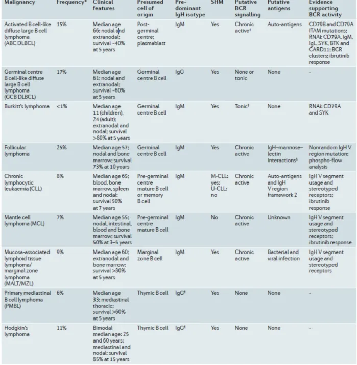 Tableau 3 : Indices attestant l’importance de la signalisation du BCR dans les lymphomes