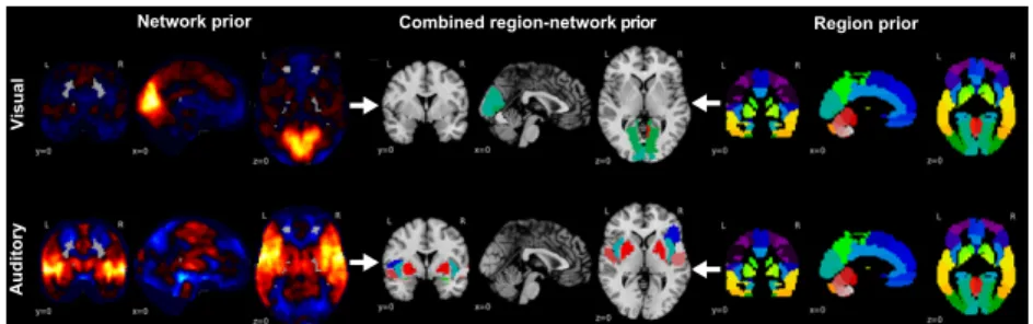 Fig. 1. Building blocks of the hierarchical region-network tree. Displays the a-priori neurobiological knowledge introduced into the classification problem by  hierar-chical structured sparsity