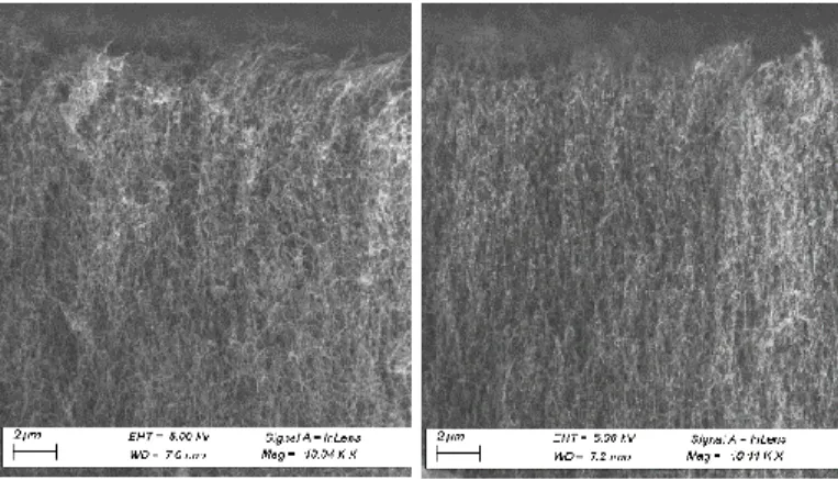 Fig. 7. SEM cross section of the top surface of VACNTs (sample G) before and after O2 plasma etch