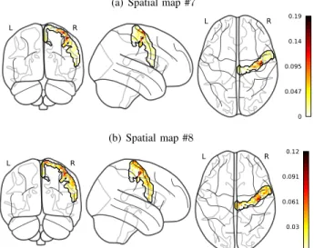 Fig. 6: The spatial maps associated with each atom. We have limited our analysis to the right Precentral Gyrus region (delimited in black)