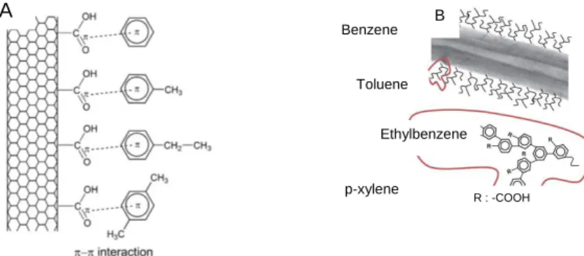 Figure 1: (A) π-π stacking interactions between carboxylic groups and BTEX 5 , (B) Poly(phenylene)  derivative grafted onto CNTs