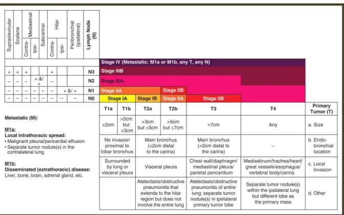 Figure 1. Chart illustrates the descriptors from the 7th edition of the TNM staging system for lung cancer