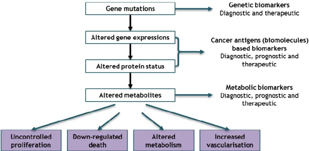 Figure 5. The process of carcinogenesis showing opportunities of identifying biomarkers