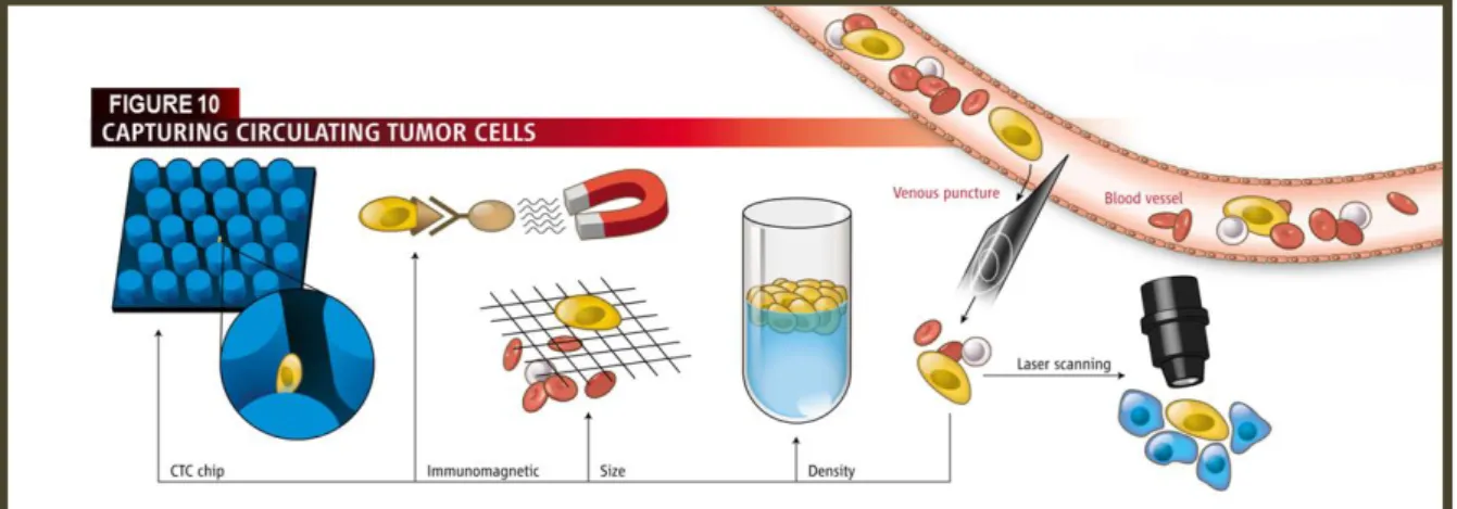 Figure  10.  Devices  for  separating  the  rare  tumour  cells  (yellow)  in  a  blood  sample  include  a  silicon  chip  studded  with  microscopic posts, magnetic beads coated with antibodies, filters, density-based centrifuges, and laser detection