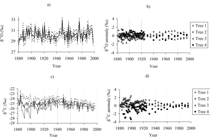 Fig 4. Year by year evolution of the cellulose δ 18 O and δ 13 C measured for each tree (from 1879 to 1925 and with a 5 yr time step from 1925 to 1998) and measured on a pool of trees for the other years (average values)