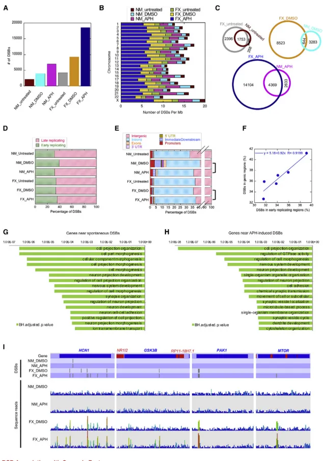 Figure 4. DSB Association with Genomic Features (A) Plot of total number of DSBs in each of the indicated categories.