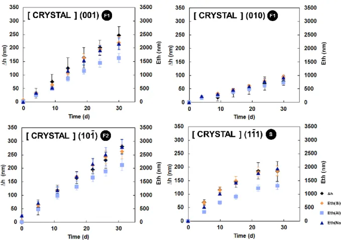 Figure 7: Surface retreat measurements (∆h, left vertical scale) carried out by VSI during Si-low experiments at  pH 10 and 90°C on      ,      ,       ,        faces as a function of time compared to equivalent thickness 