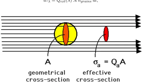 Figure 1.7: A schematic view of the absorption of the light by a grain. Credit from ECE532 Biomedical Optics.