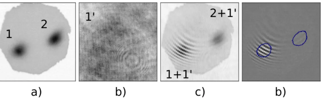 Figure 2.4: Two localized structures appear on the near eld intensity distribution (a).