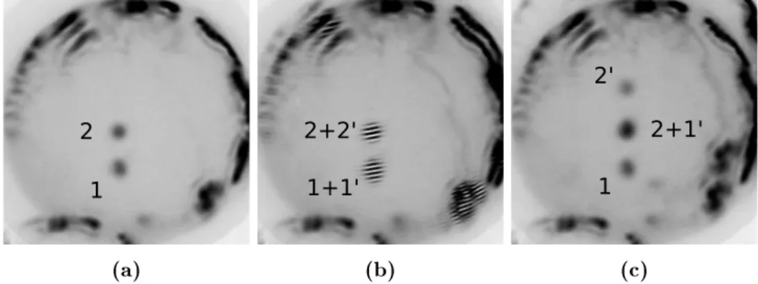 Figure 2.11: Spatial intensity distribution of the near eld from the main arm of the interferometer (a)