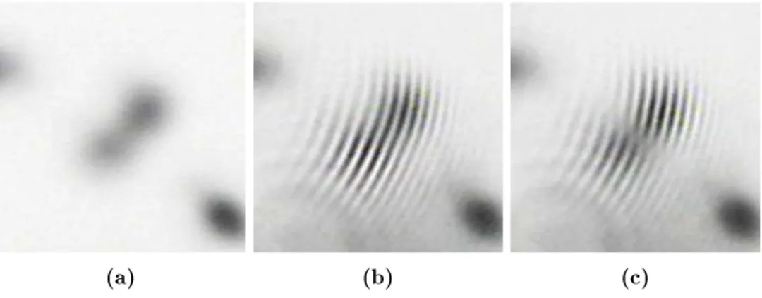 Figure 2.14: (a) Near eld intensity distribution showing a two-humps cluster coexisting with a single hump laser soliton