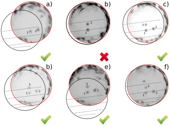 Figure 2.15: Near eld images of the amplier L 1 (red circle) for dierent relative align- align-ments of the absorber L 2 (black circle)