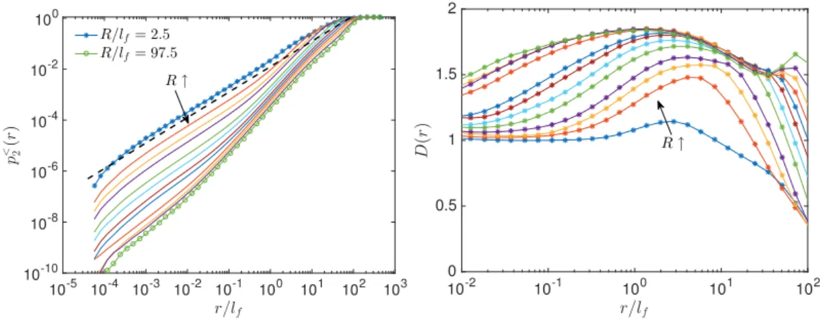 Figure 3.8: Left: p < 2 (r) for various distances from the source R and t p max = 0.4
