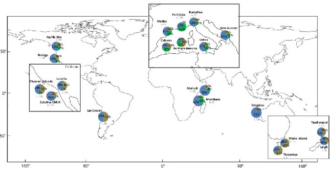 Figure 6. Percentage of papers on marine forests (in brown), seagrasses (in green) and fishes (in blue) in the 20  MPAs with the highest number of studies on marine forests.