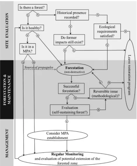 Figure 1. Flow-chart for conservation and reasoned forestation of Cystoseira species in the Medi- Medi-terranean Sea.
