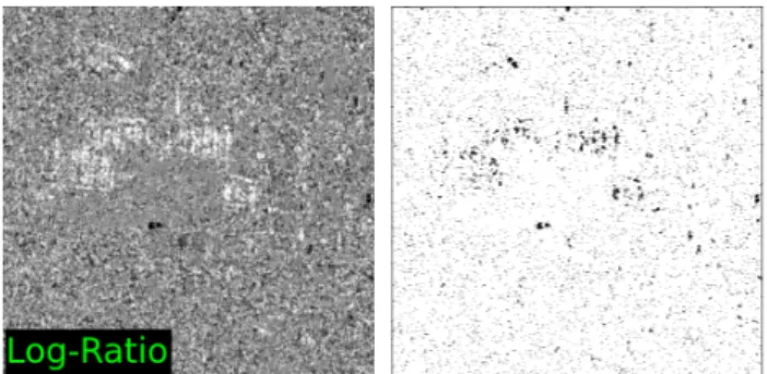 Figure 4: Left : Amplitude stack (Geometric mean) of 12 TerraSAR–X products. Right : corresponding GoogleEarth optical image