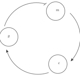 Figure 7: Une repr´esentation simplifi´ee du mod`ele de Goodwin