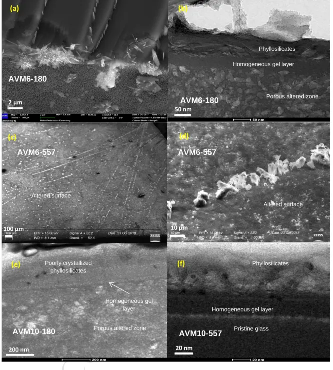 Figure  2  (a)  SEM  image  of  AVM6  (altered  for  180  days  at  50°C  and  95%  RH)  showing  leafy  precipitates  and  needle  shaped 