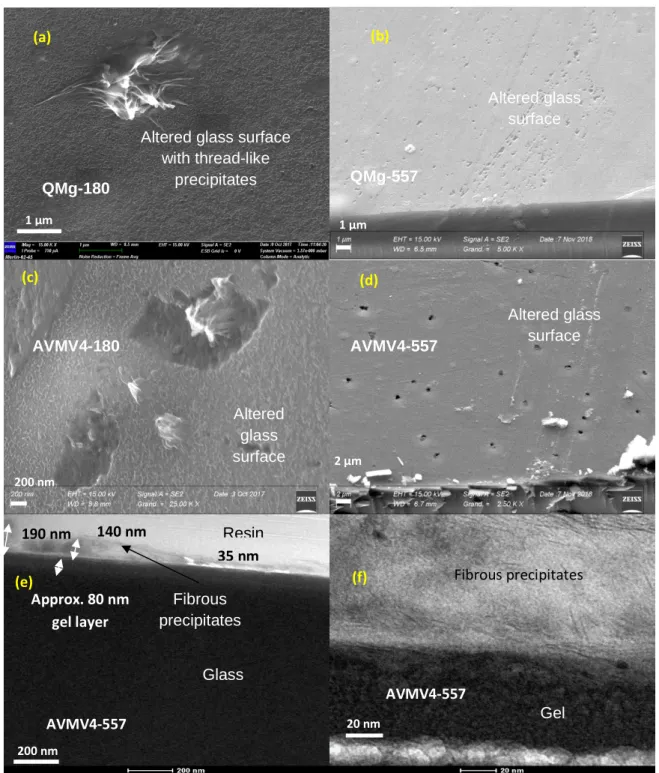 Figure 3 (a) SEM image of QMg (altered for 180 days at 50°C and 95% RH) showing a carpet of thread-like precipitate and fibrous 