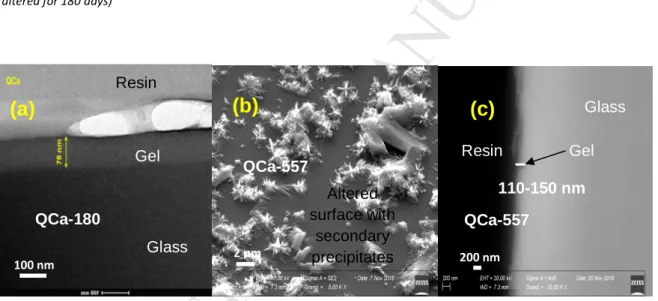 Figure 5 (a) TEM image of QCa (cross-section) altered for 180 days at 50°C and 95% RH; (b) SEM image of QCa altered for 557 