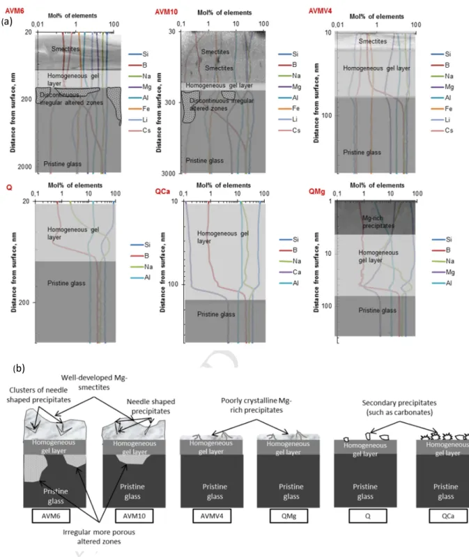 Figure 9 (a) Description of the altered layer morphology of the six glasses that were vapor hydrated at 50°C and 95%RH for 180 