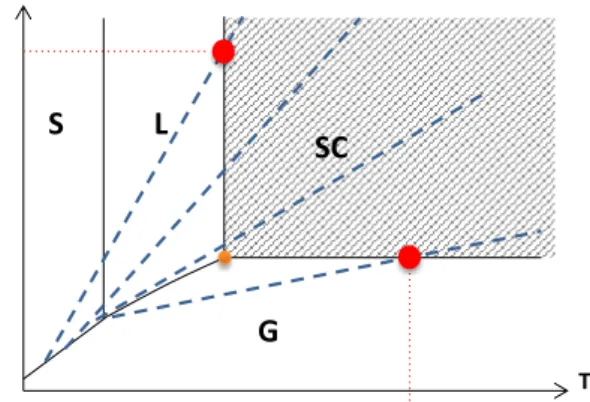 Figure n°4 :Domaine d’application de la technique de dissolution par CO 2  supercritique