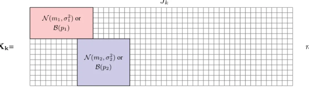 Figure 1. Illustration of the simulated matrix generated at step 1. The red and blue boxes follow either Gaussian distribution or a Binary distribution, the white squares represent zero values.