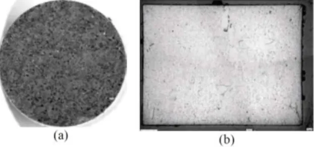 Figure 1 : Visual aspect (a) and ceramography (b) of a MARINE pellet 