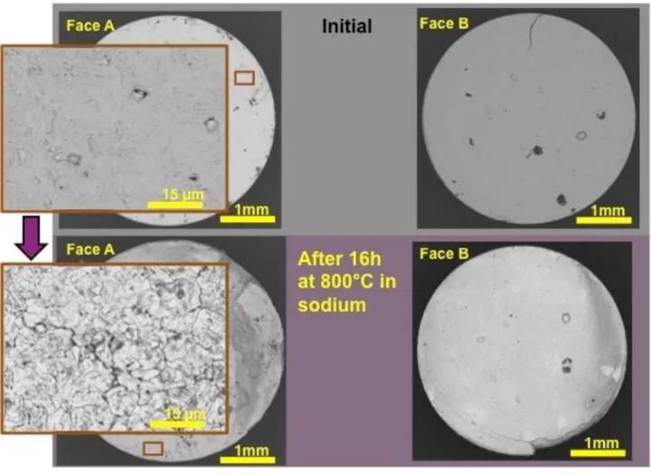 Figure 3. SEM images of a MOX pellet before and after 16h at 800°C in sodium. 