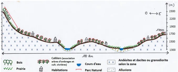 FIGURE 2. COUPE TOPOGRAPHIQUE ACTUELLE D’UNE VALLEE DE LA REGION DE SAN IGNACIO (REALISATION : AUTEUR)