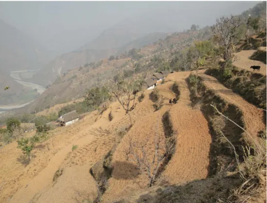 Figure 7. Basse montagne. Mangaltar, rive gauche de la Dudh Koshi, février 2012 