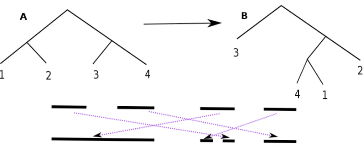 Figure 10. An element f of V 2