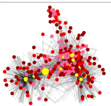 FIGURE 1 | SSR network. Co-expression network analysis performed with CressExpress using public transcriptome datasets