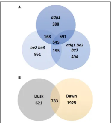 FIGURE 2 | Venn diagrams of genes identified as differentially expressed. (A) Genes identified as differentially expressed in adg1, adg1 be2 be3, and be2 be3 mutants