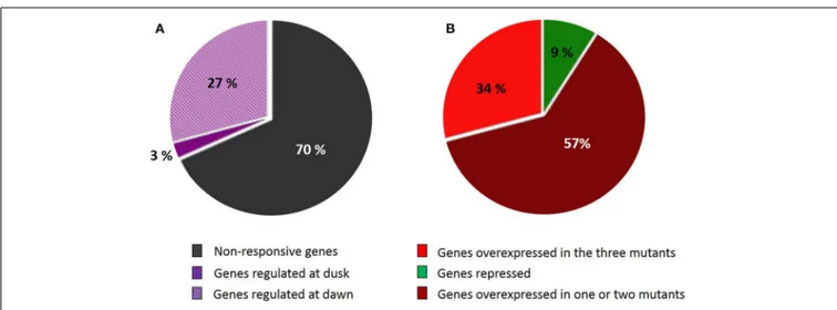 FIGURE 3 | Genes belonging to the SSR network showing different pattern of expression in the starch-deficient mutant lines