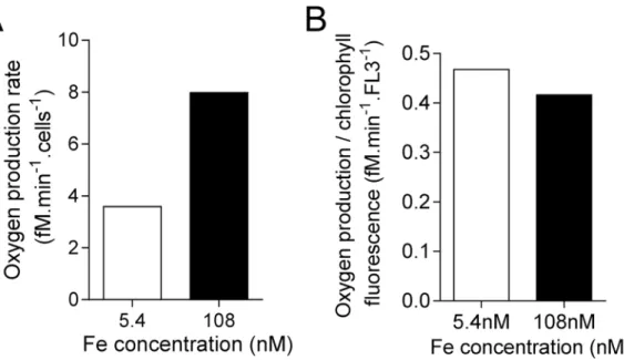 Table 2.  Comparison of growth rates in different phytoplanktonic organisms under iron limiting and iron  replete conditions in aquil medium (Fe(III)-EDTA source)