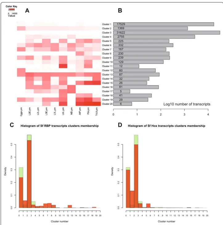 Figure 4 Clustering of expression. A. Heatmap representing the medoids of expression of the 20 clusters of genes for the 10 Illumina RNAseq experiments