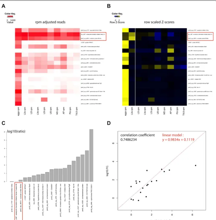 Figure 5 qPCR validation of differential expression. A. Heatmap representing the expression in rpm of each candidate transcript tested by qPCR