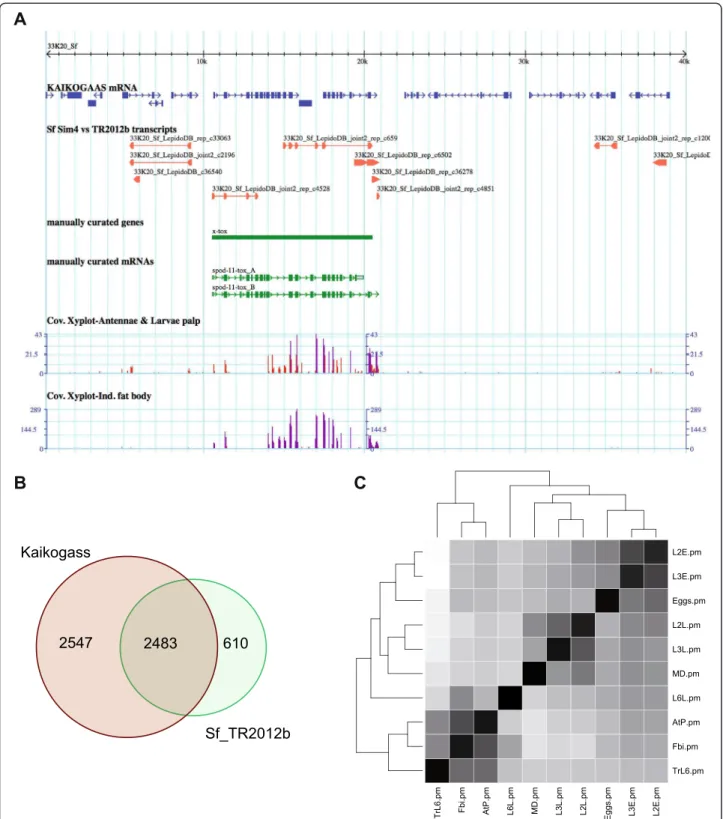 Figure 3 Representation of transcripts and their expression. A. Screenshot of the GBrowse system integrated in the Lepidodb