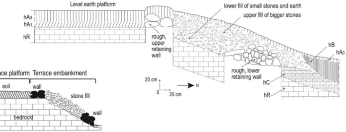 Figure 5. Linear stone ridge, cross section and sketch (7N-CAM 5), Río Bec nuclear zone