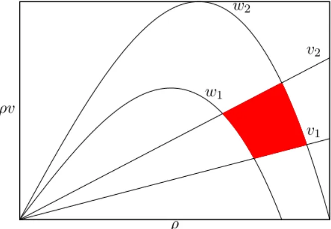 Figure 2: The invariant domain D v 1 ,v 2 ,w 1 ,w 2 .