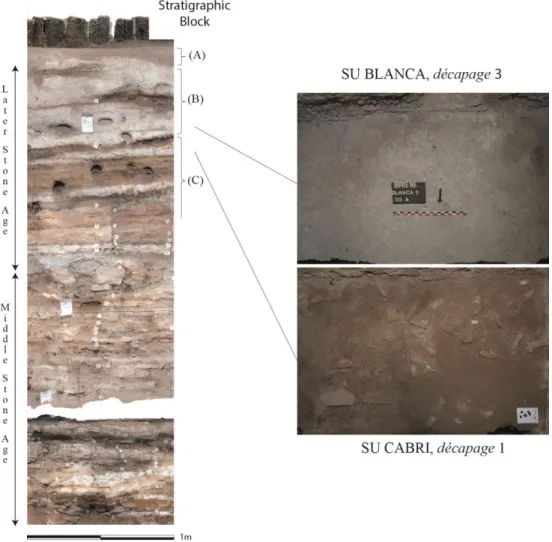 Figure 2: Upper South Profile of Bushman Rock Shelter (before excavation in 2014) with details  on the SUs Blanca and Cabri