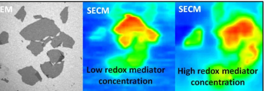 Figure 1. Presentation of the combined SEM-SECM responses at the basis of the advanced  electronic conduction characterization
